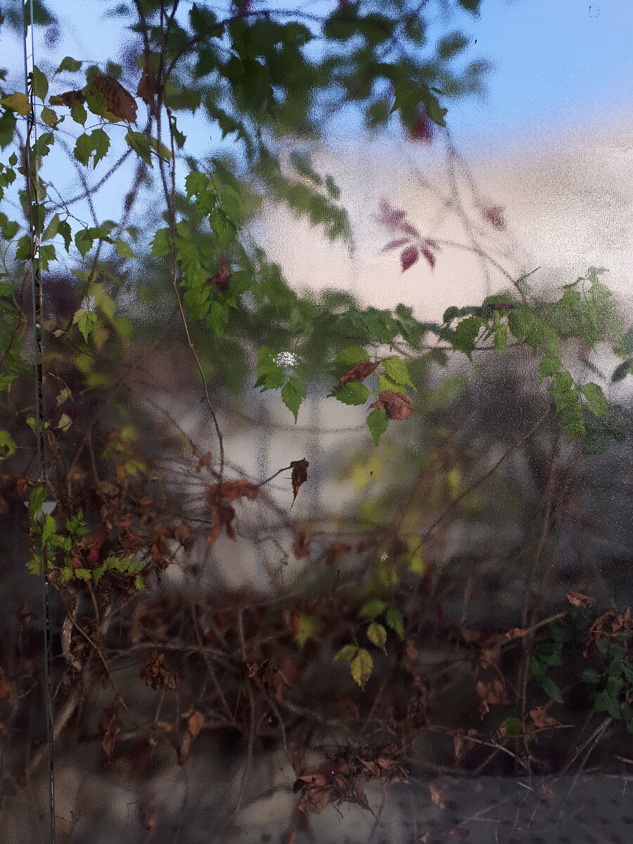 Photographie