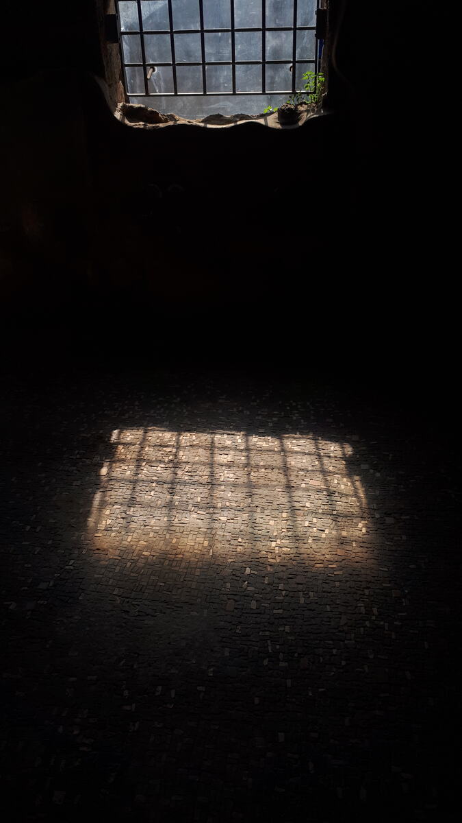 Photographie