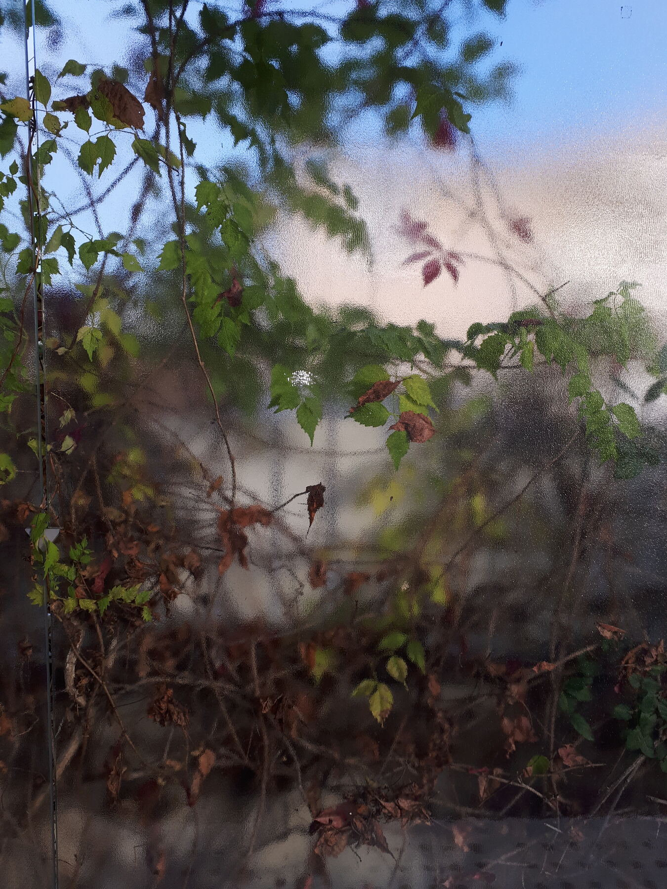 Photographie