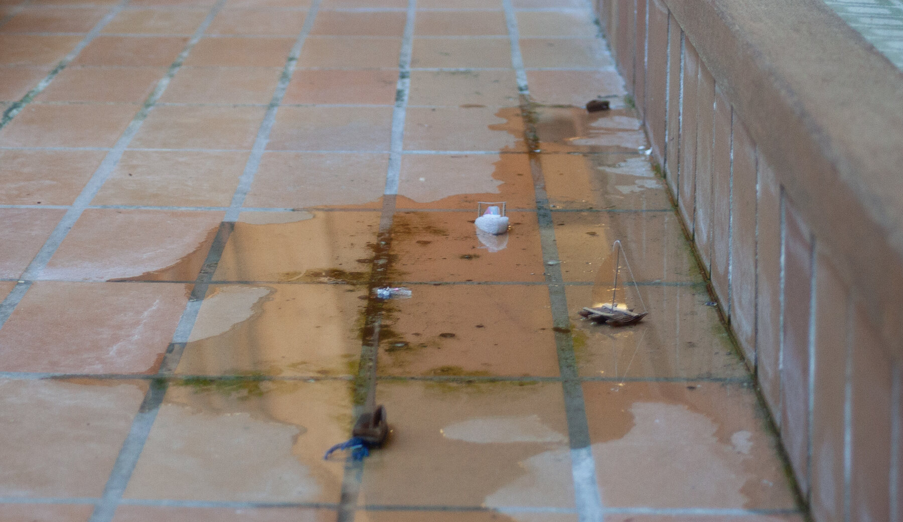 La grand-mare des canards