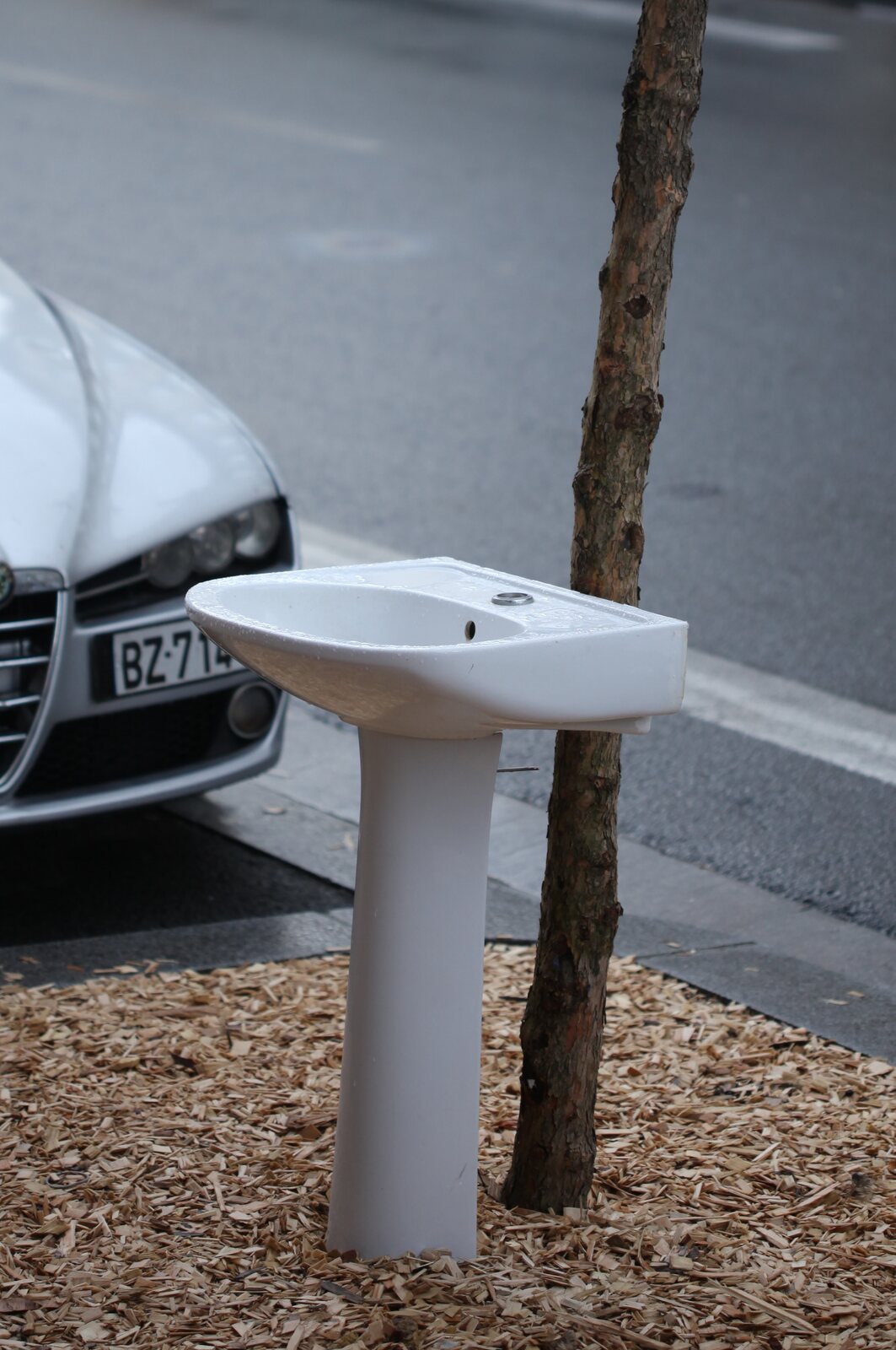 Lavabo dans jardinière, 2024